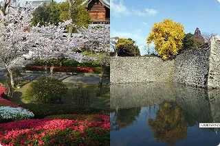 写真:八代城跡公園