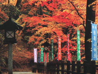 写真:唐沢山