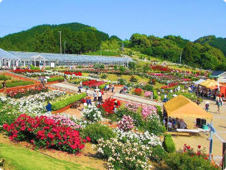 ばらの丘公園