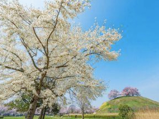 写真:行田 (ぎょうだ) ~ちょっと足を延ばして~