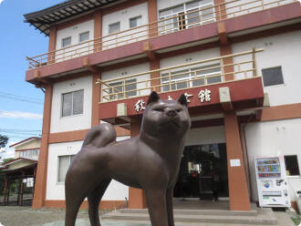 秋田犬会館