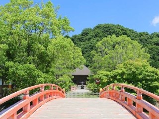 写真:観光の拠点に便利