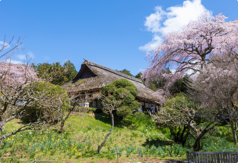 写真：秩父宮記念公園