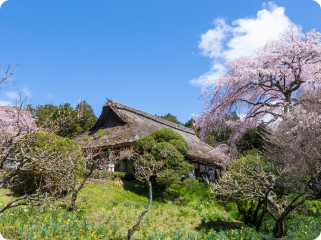 写真：秩父宮記念公園