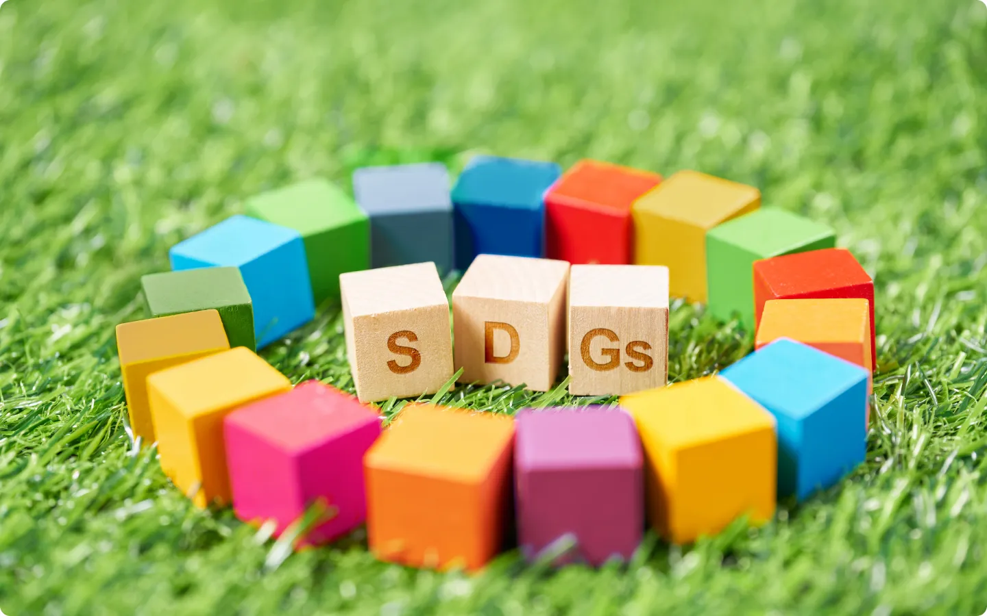 イメージ:SDGs